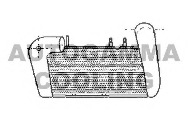 AUTOGAMMA 102393 Интеркулер