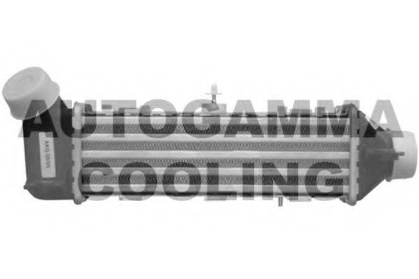 AUTOGAMMA 102407 Интеркулер