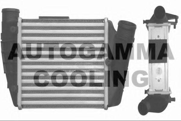 AUTOGAMMA 103771 Интеркулер