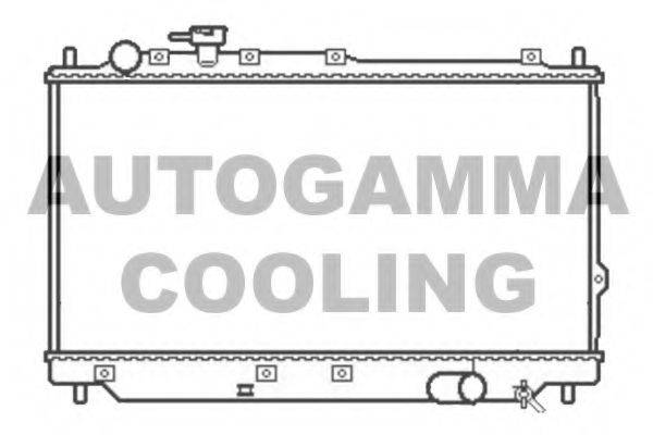 AUTOGAMMA 105800 Радиатор, охлаждение двигателя