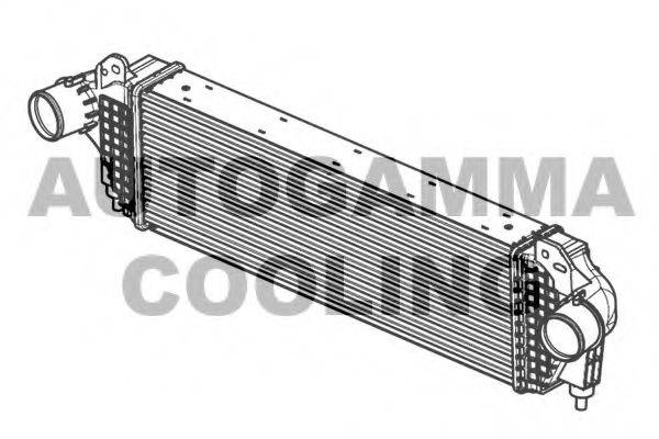 AUTOGAMMA 105950 Интеркулер