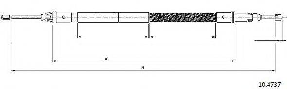 CABOR 10.4737