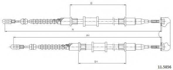 CABOR 11.5856