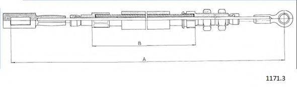 CABOR 1171.3