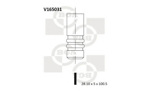 BGA V165031