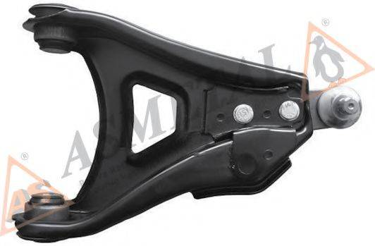 ASMETAL 30RN2005 Рычаг независимой подвески колеса, подвеска колеса