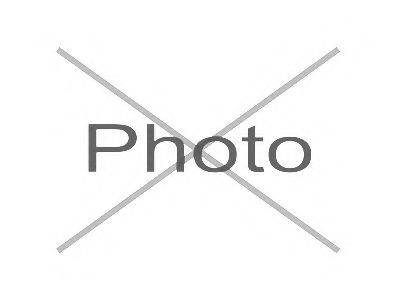 CTE CBH03082 Подвеска, рычаг независимой подвески колеса