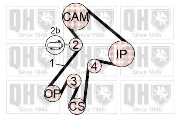 QUINTON HAZELL QBK703 Комплект ремня ГРМ