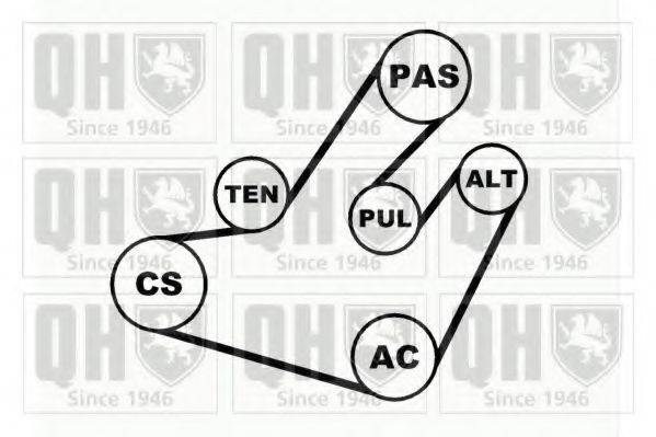 QUINTON HAZELL QDK32 Поликлиновой ременный комплект