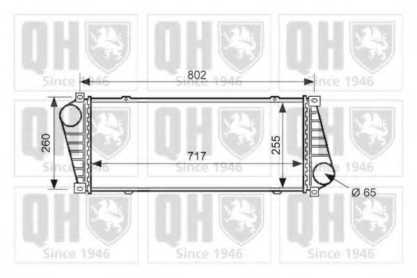 QUINTON HAZELL QIC101