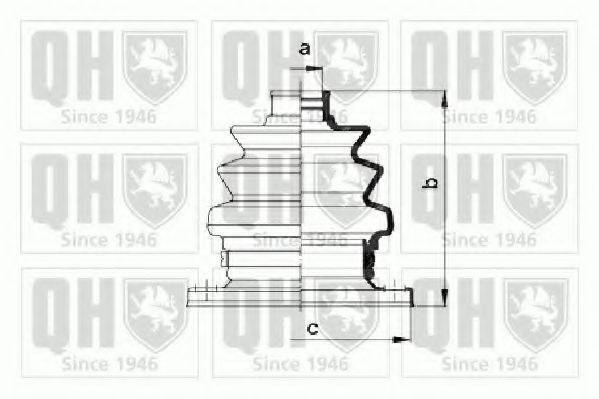 QUINTON HAZELL QJB966