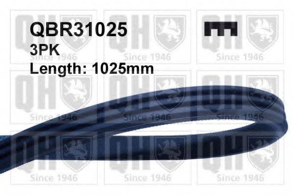 QUINTON HAZELL QBR31025 Поликлиновой ремень
