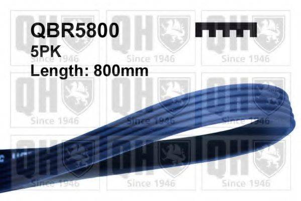 QUINTON HAZELL QBR5800 Поликлиновой ремень