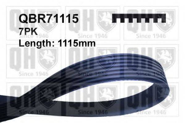 QUINTON HAZELL QBR71115 Поликлиновой ремень