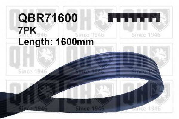 QUINTON HAZELL QBR71600 Поликлиновой ремень