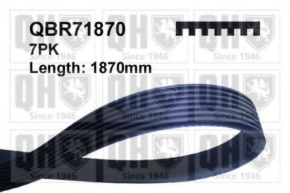 QUINTON HAZELL QBR71870 Поликлиновой ремень