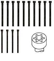 GOETZE 2201319B Комплект болтов головки цилидра