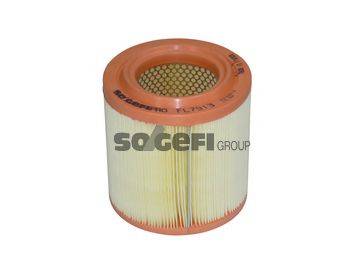 SOGEFIPRO FL7913 Воздушный фильтр